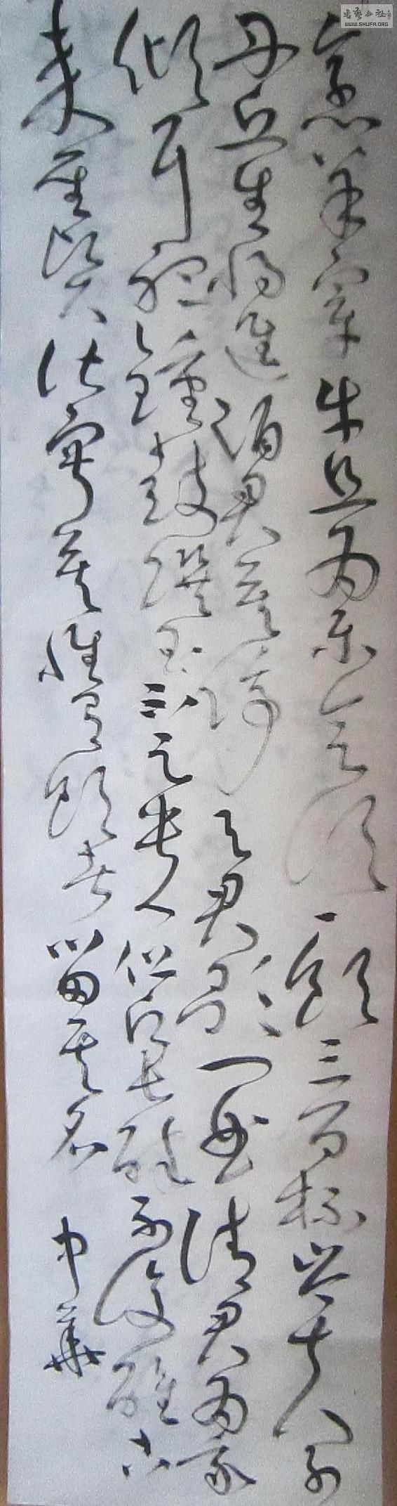 81.JPG