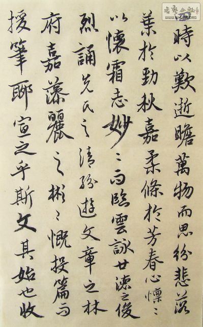 DSCF9944.JPG