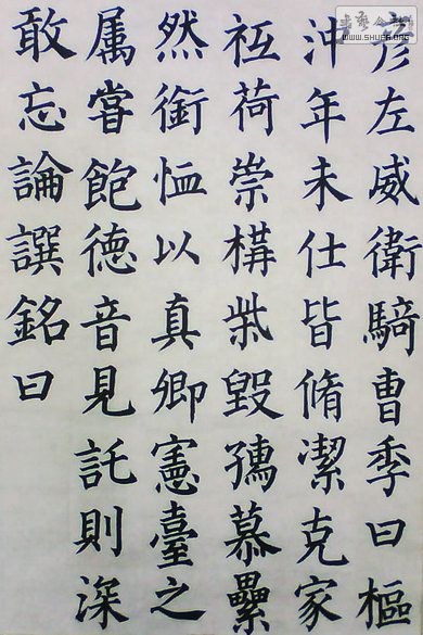 鼺17.jpg