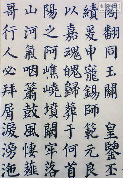 鼺20.jpg
