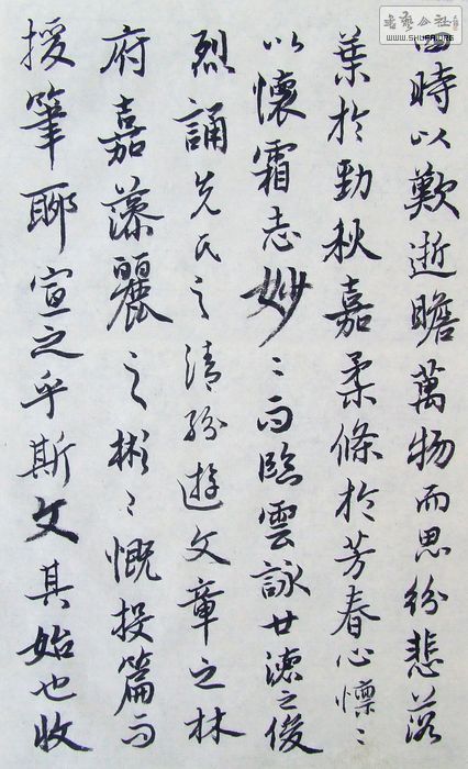 DSCF9949.JPG