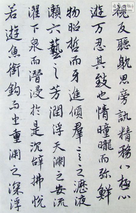 DSCF9950.JPG
