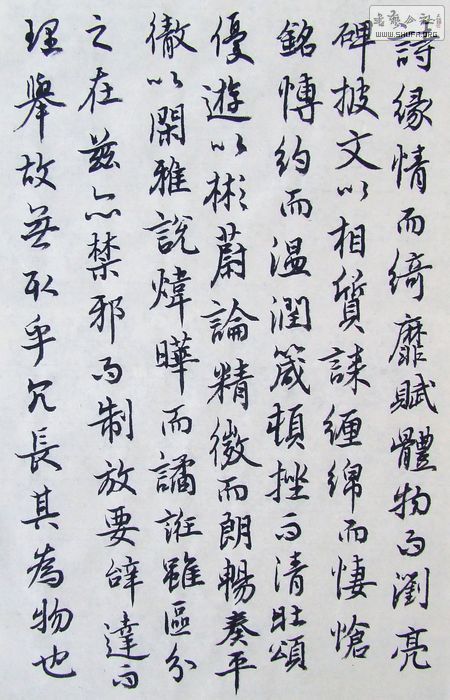 DSCF9953.JPG