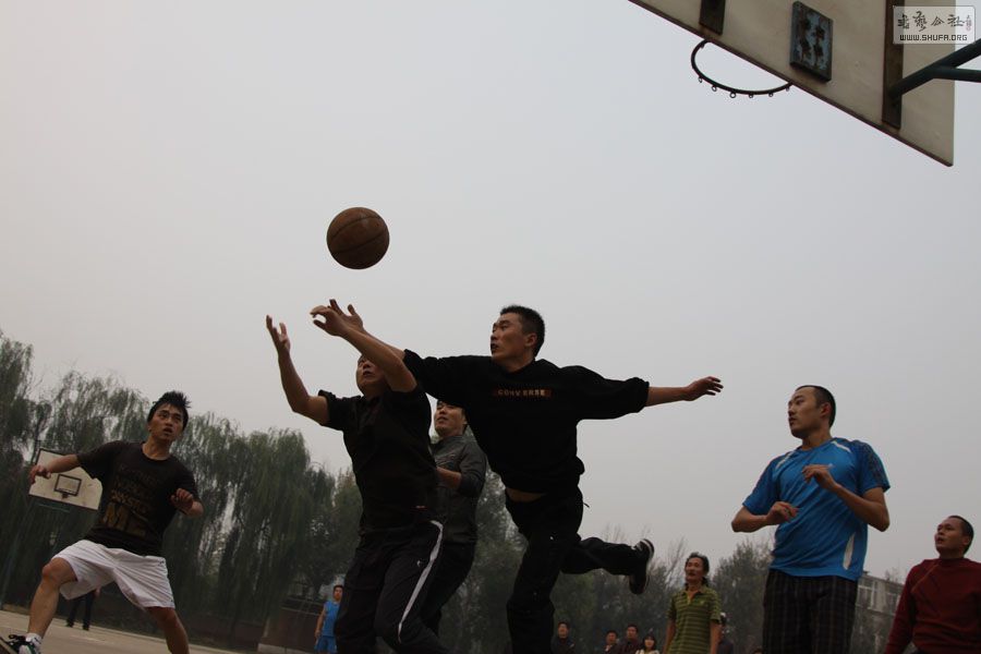 IMG_1266.jpg