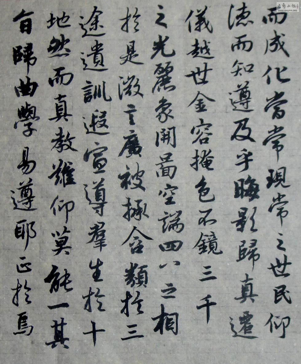 DSC03784.JPG