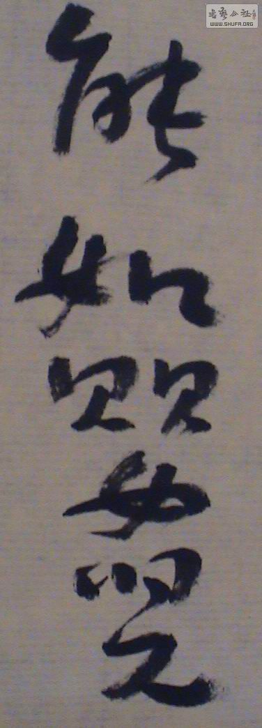 DSC02280.JPG