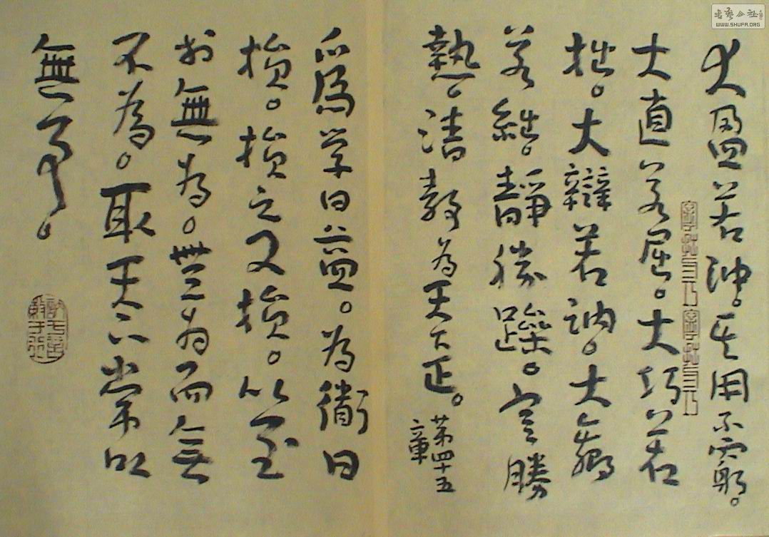 DSC02271.JPG