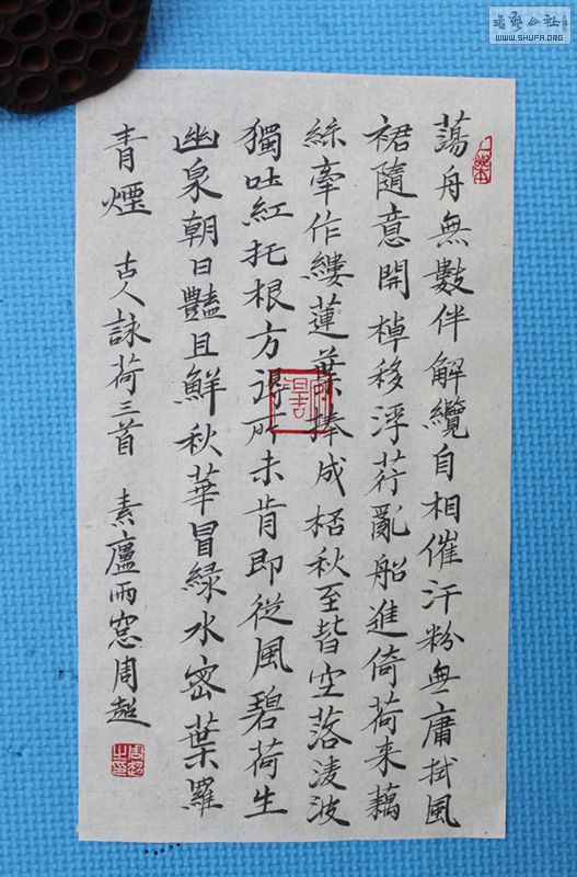 ӽʫ1.jpg