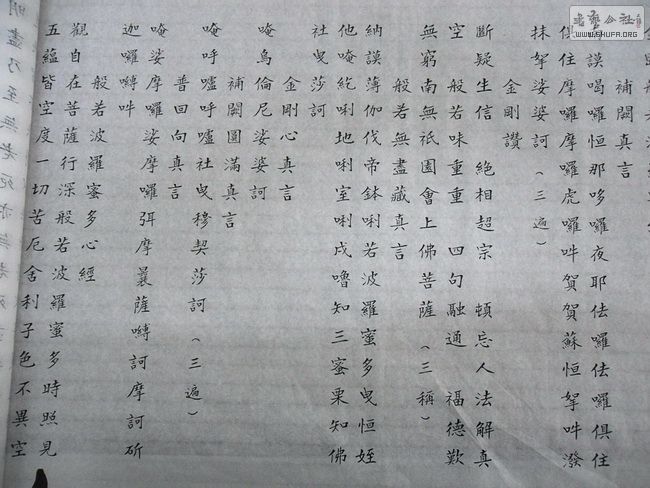 61.jpg