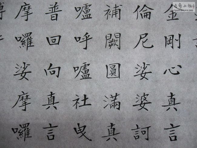63.jpg