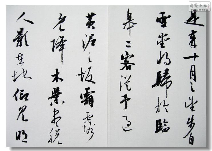 Ƭ 010.jpg