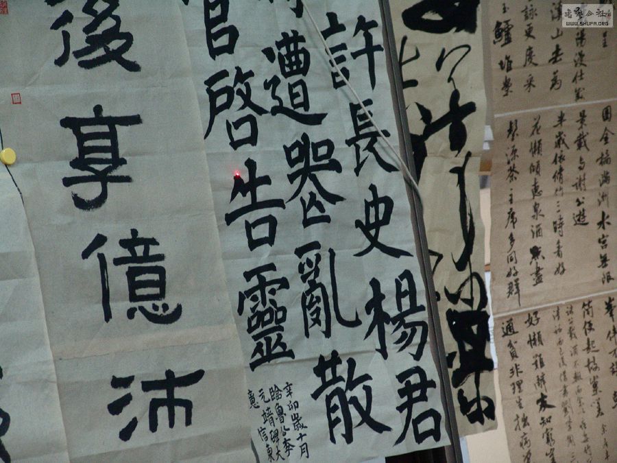 DSC03359.JPG