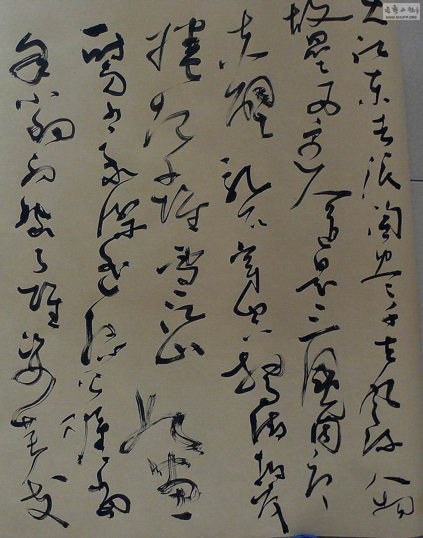 P1070778.jpg
