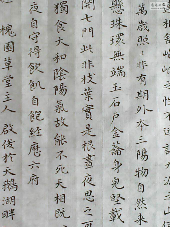 201111.jpg