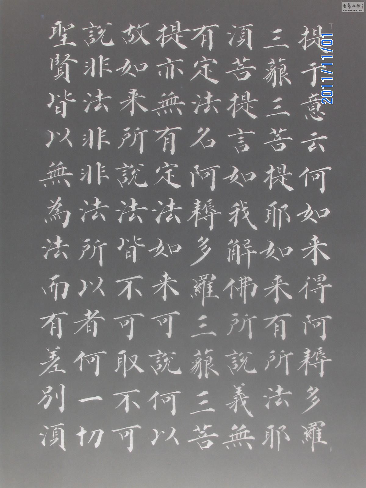 ۺ鷨Ʒ顶վ