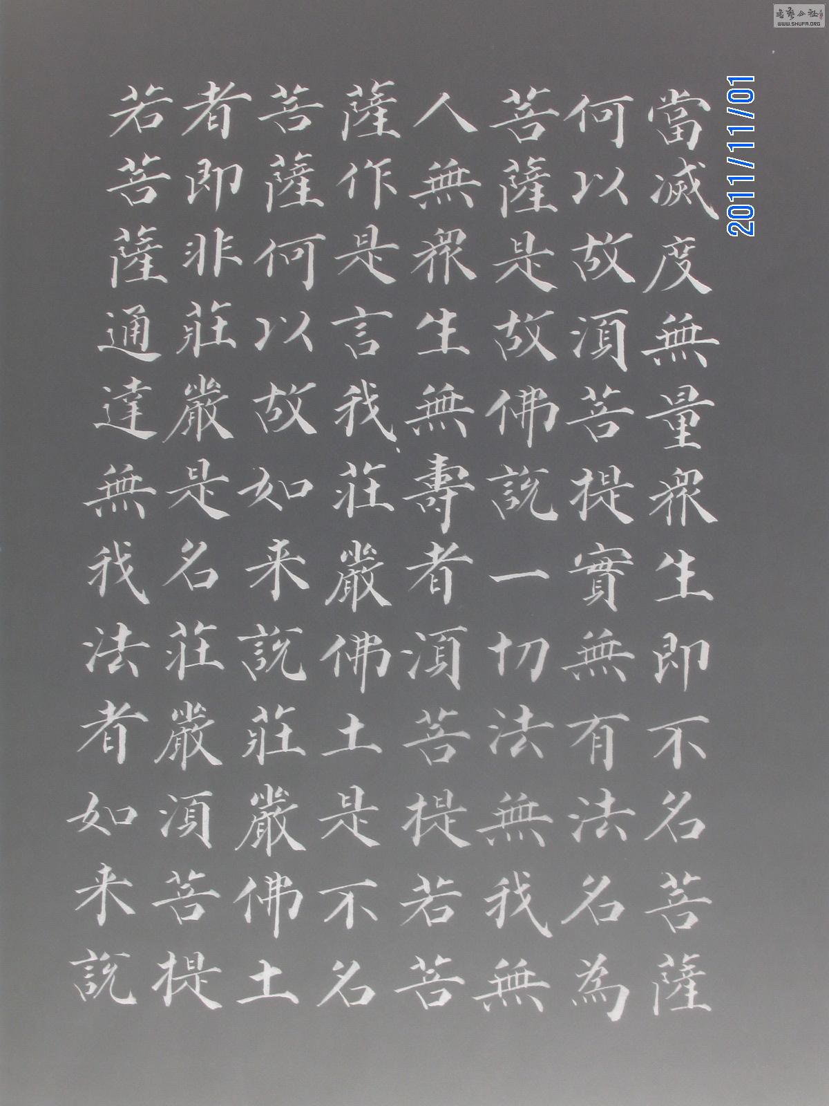 ۺ鷨Ʒ顶վ
