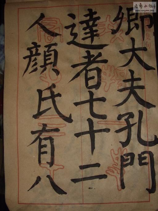 STA46851.JPG