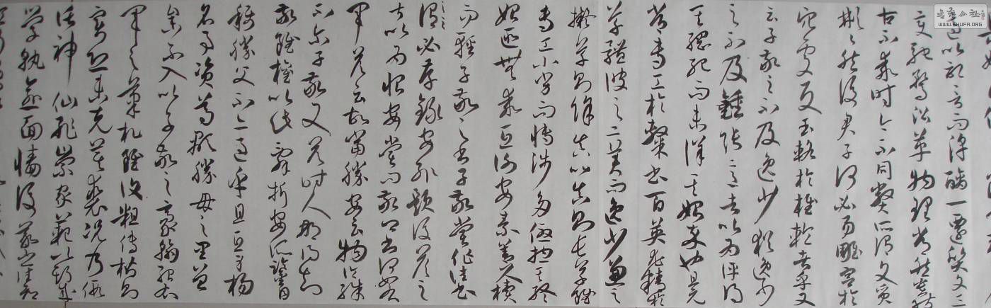 DSC02729.JPG