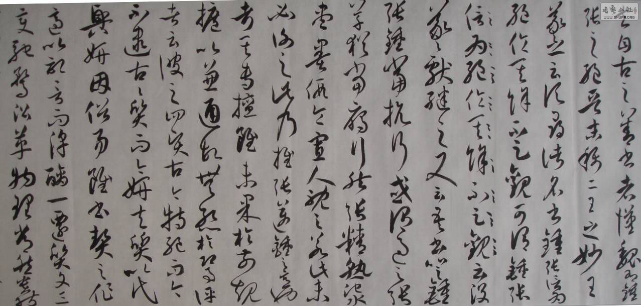 DSC02728.JPG