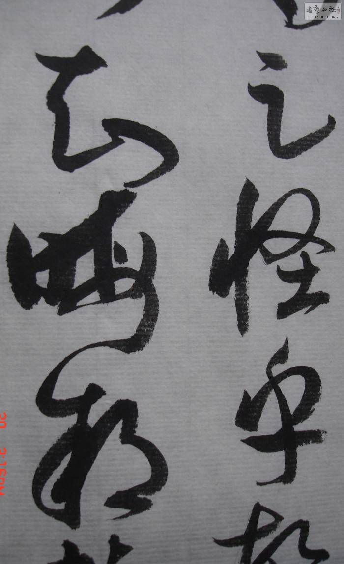 DSC02741.JPG
