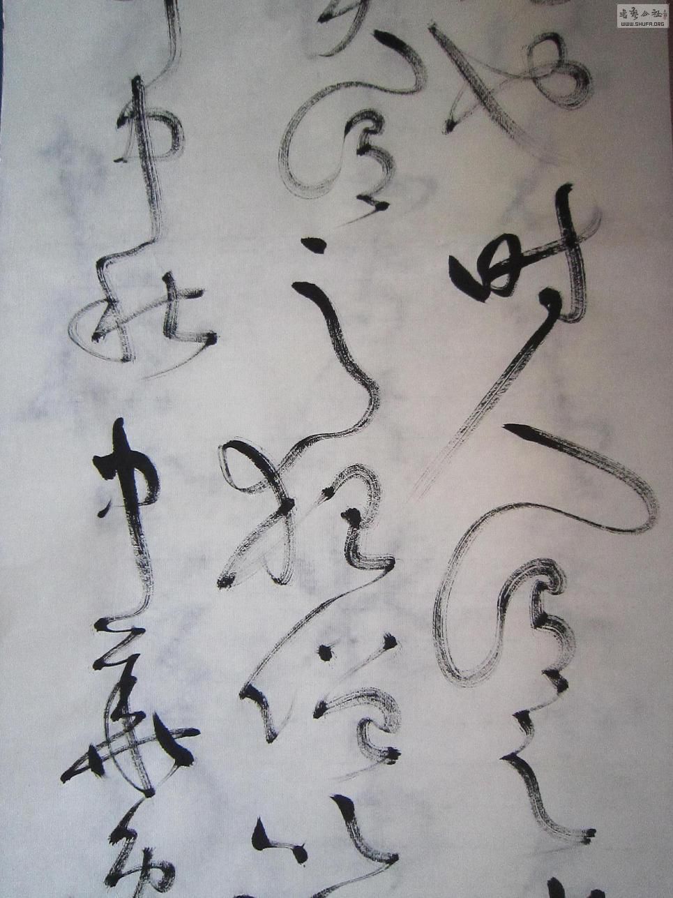 113.JPG
