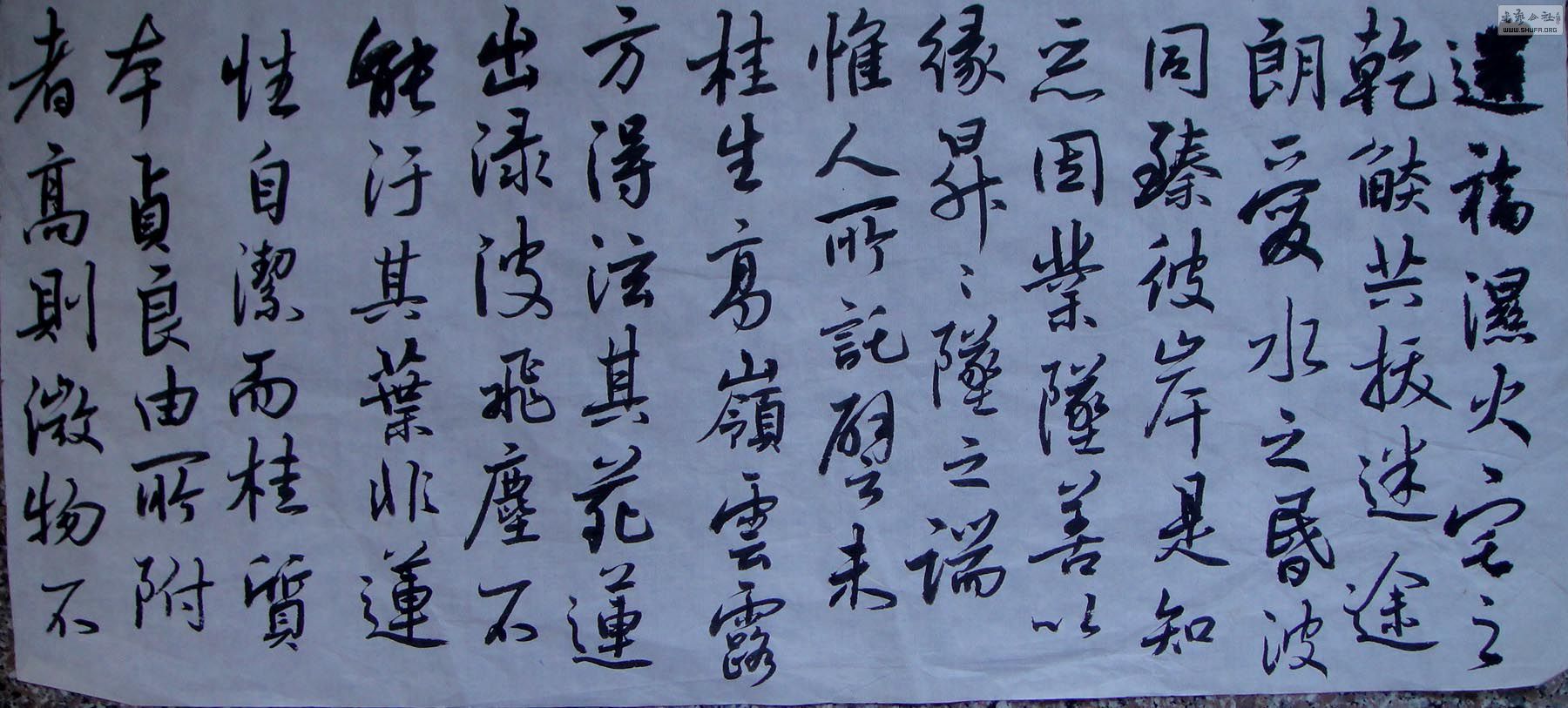 DSC03808.JPG