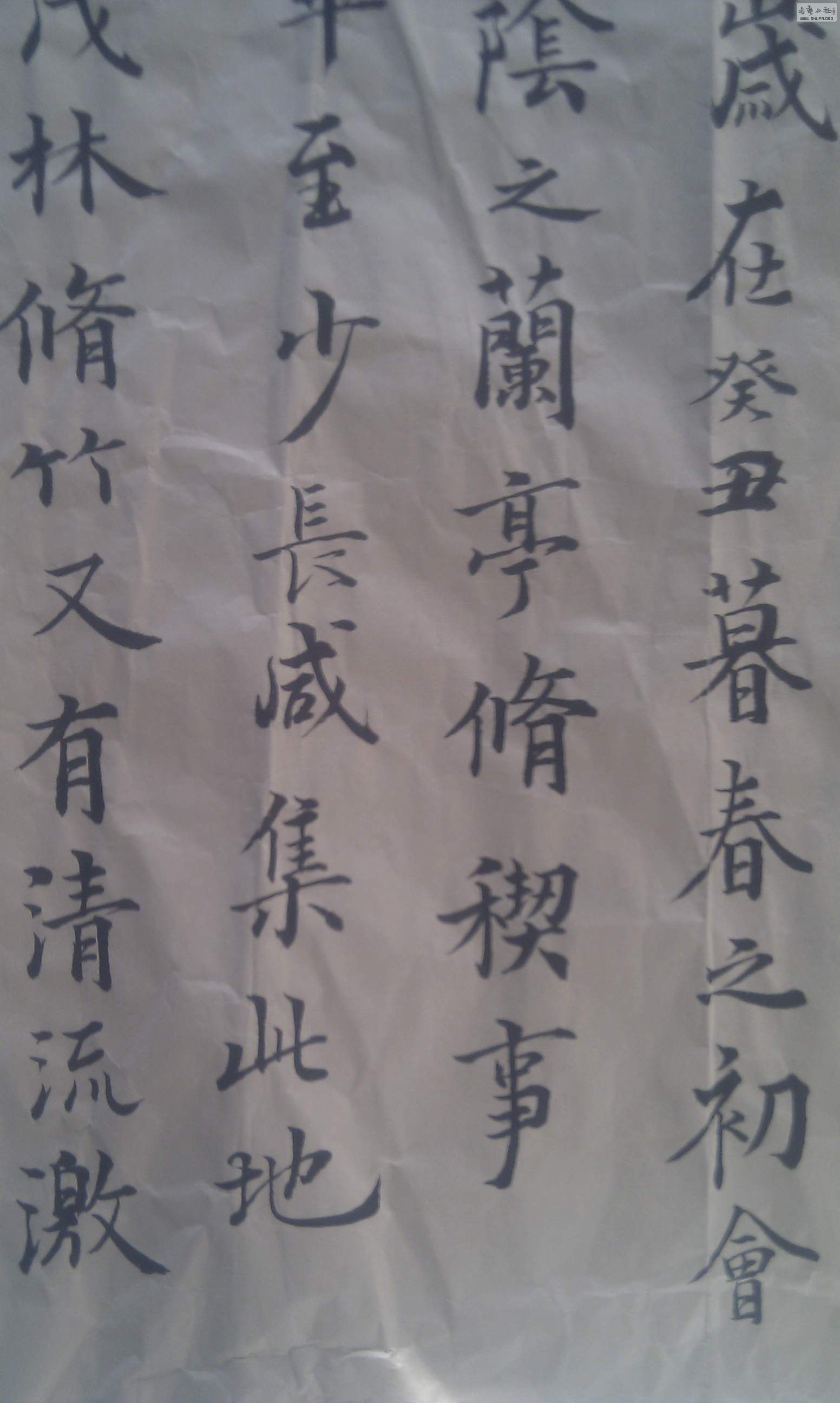 IMAG0027.jpg