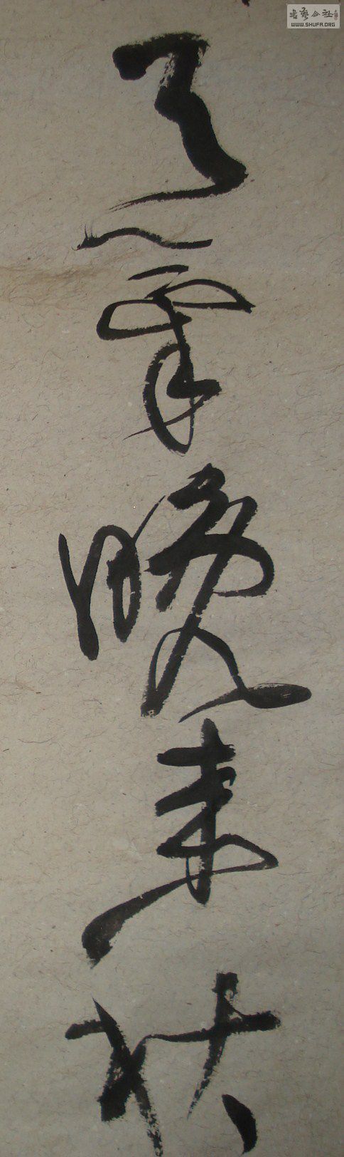 DSC08592.JPG