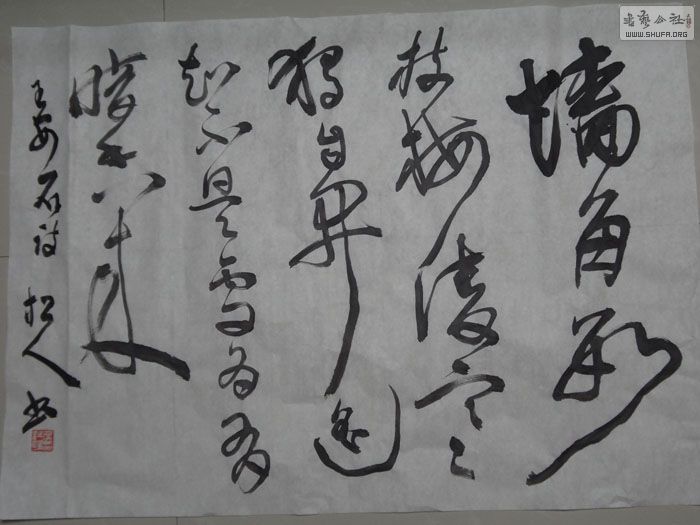 DSC00065065.jpg
