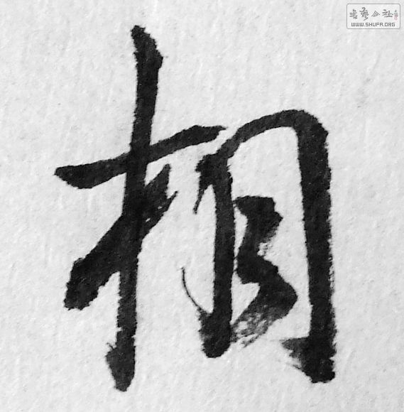 DSCF0120.JPG