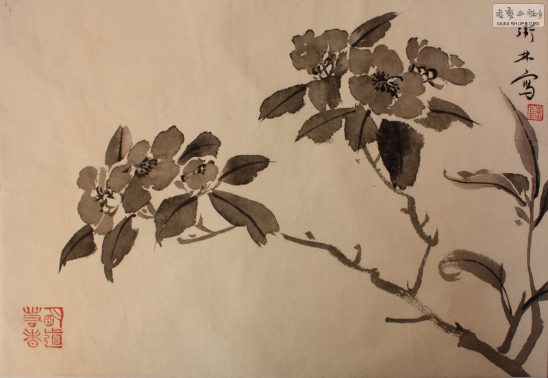 Ƭ 064.jpg