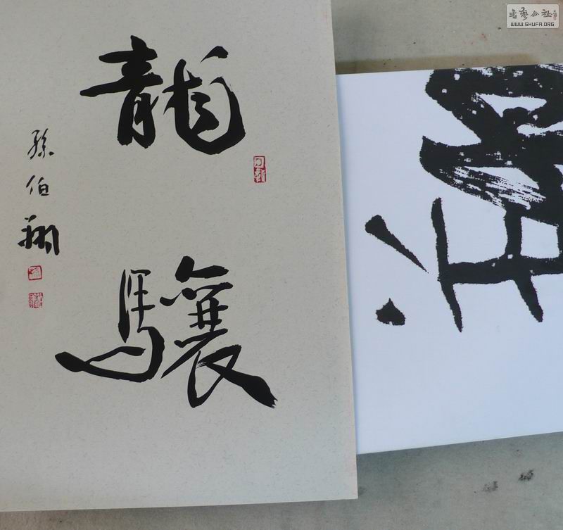 P1090127.JPG