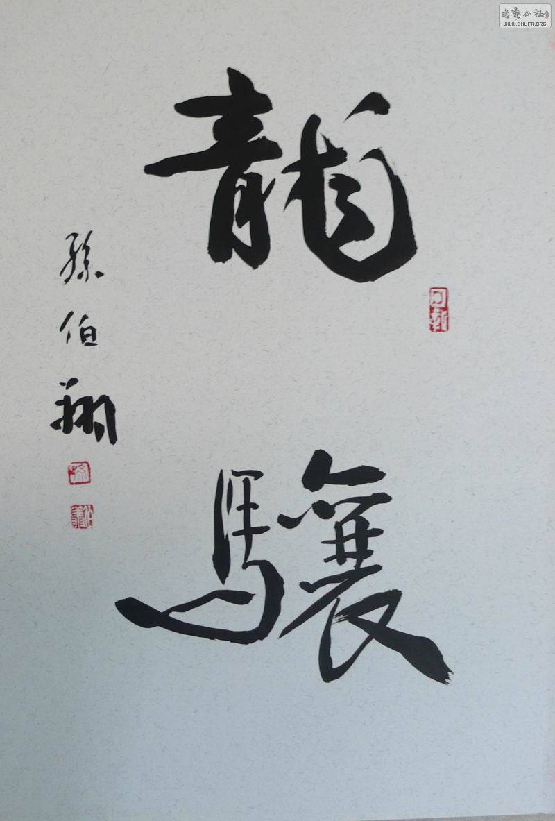 P1090125.JPG