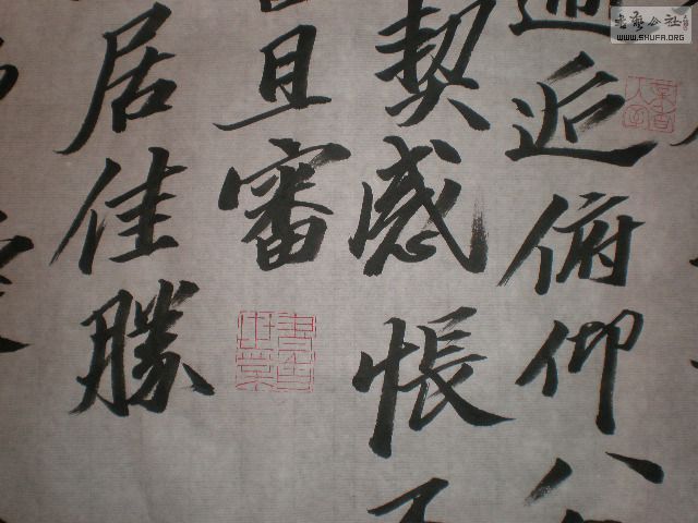 PB150325.JPG