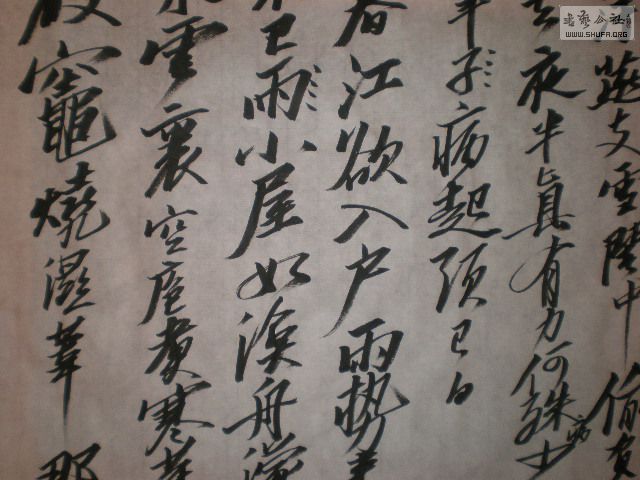 PB150336.JPG