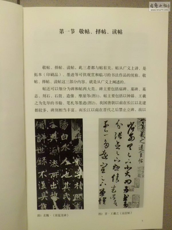 CIMG4109.JPG