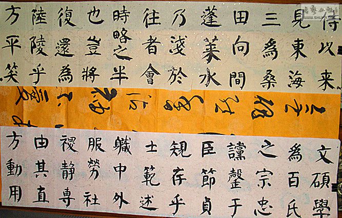 鷨21.jpg