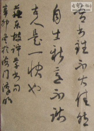 STP610137.jpg