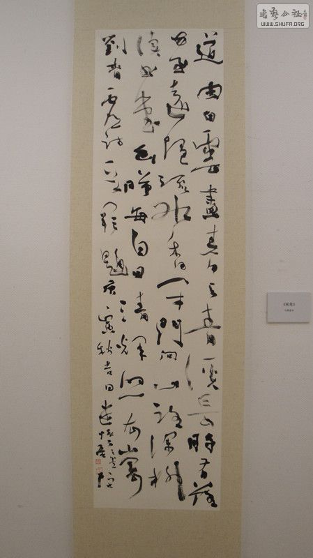 DSC00118_.jpg