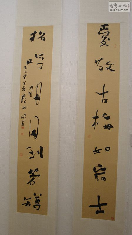 DSC00115_.jpg