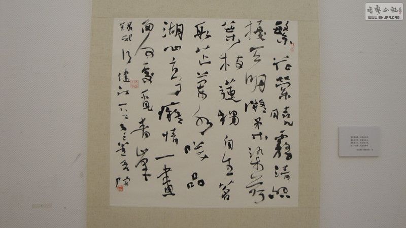 DSC00126_.jpg