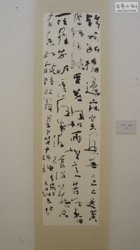 DSC00143_.jpg
