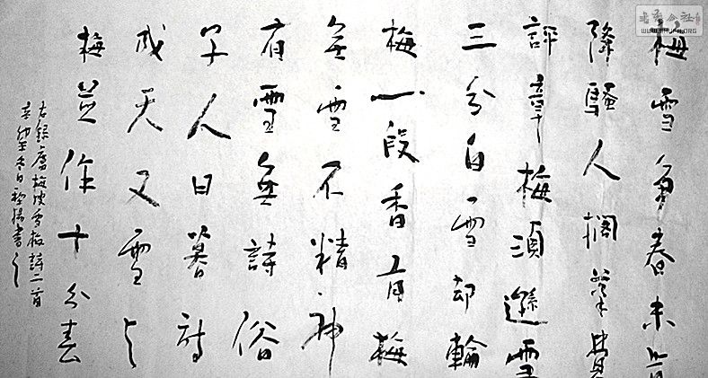 鷨52.jpg