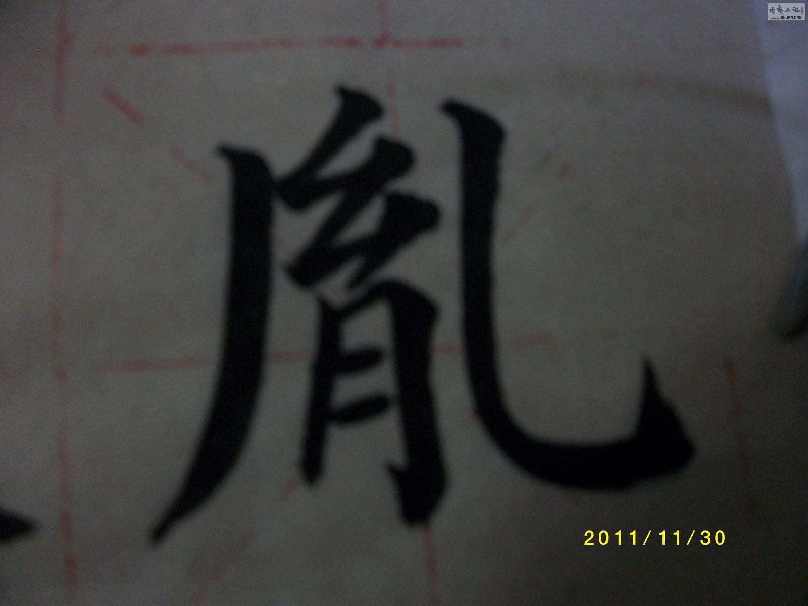 ALIM1216.JPG