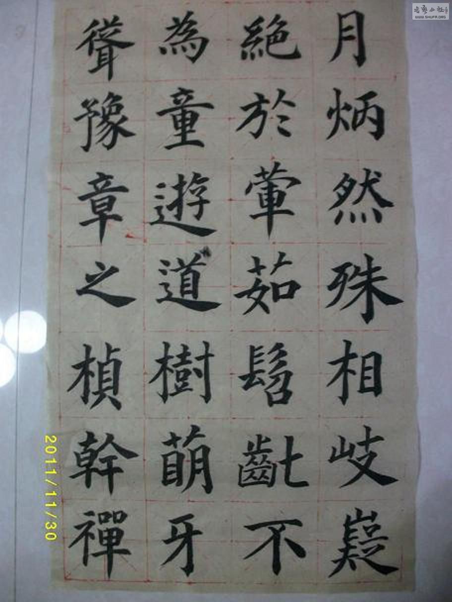 ALIM1237.JPG