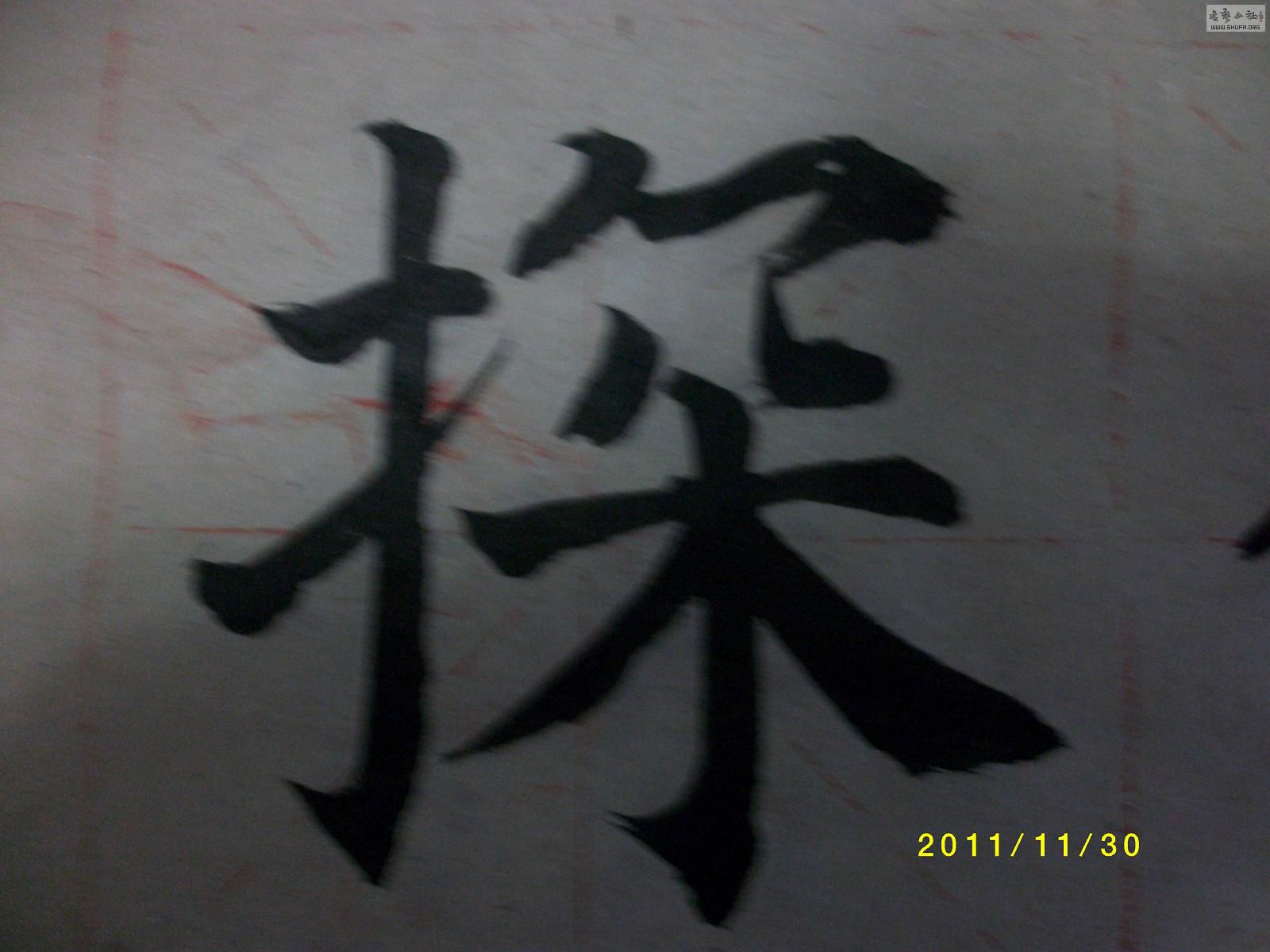 ALIM1228.JPG