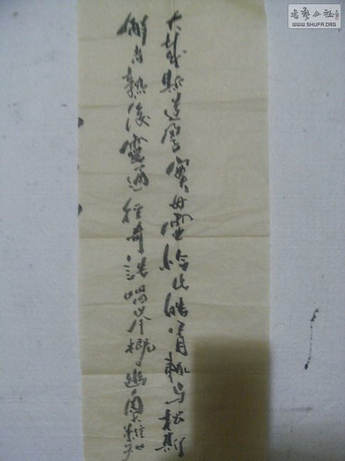 RIMG0811.JPG