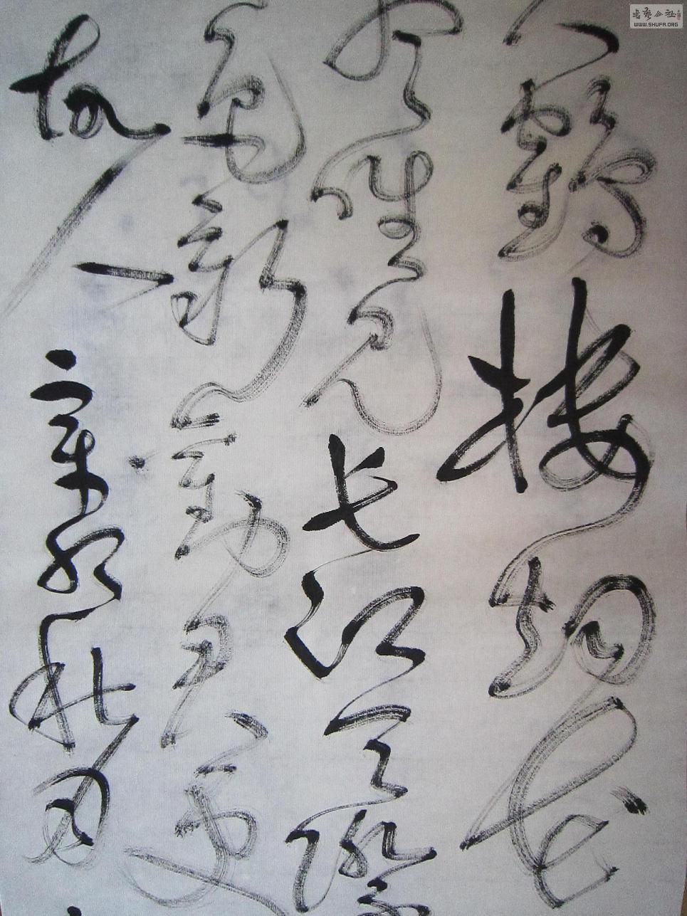 133.JPG