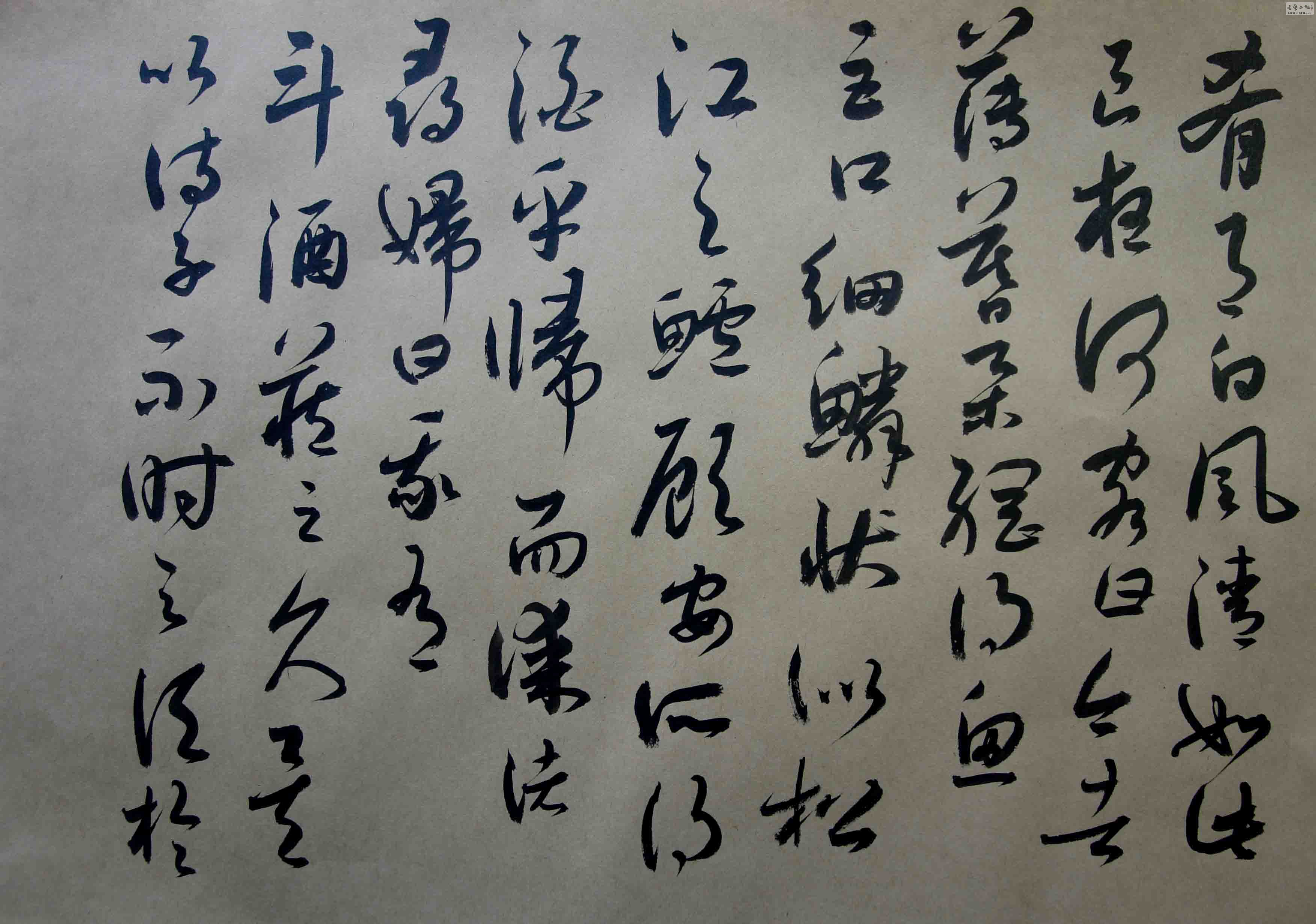 DSC02034.JPG