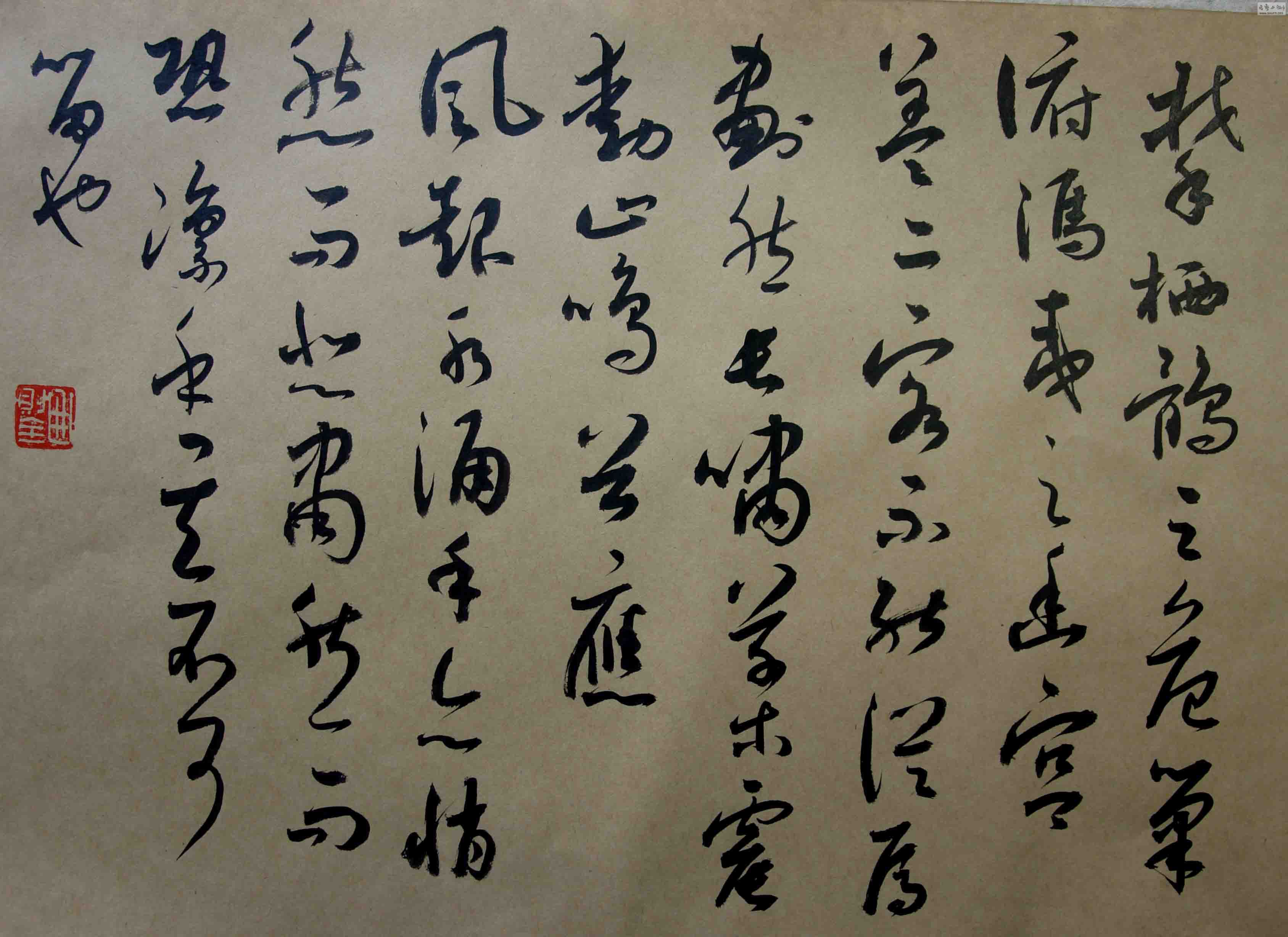 DSC02036.JPG